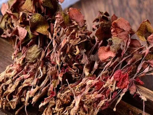Super Grade Dried Anoectochilus Roxburghii Arrives in Specialty Markets Super Grade Dried Anoectochilus Roxburghii Arrives in Specialty Markets