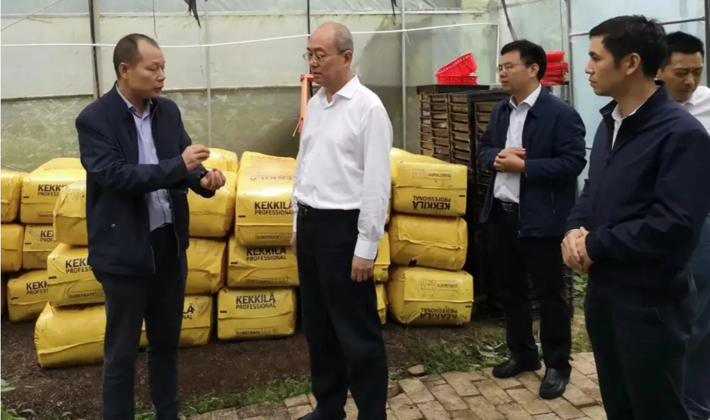 Xie Guanghua, Party Secretary and Director of Jiangxi Provincial Administration of Traditional Chinese Medicine, conducts research at the Anoectochilus planting base Xie Guanghua, Party Secretary and Director of Jiangxi Provincial Administration of Traditional Chinese Medicine, conducts research at the Anoectochilus planting base