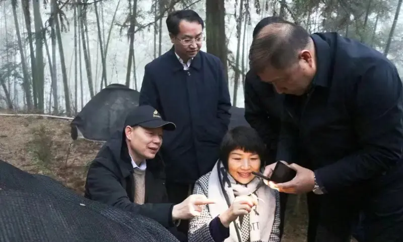 Lu Xiaoqing, former Chairman of Jiangzhong Pharmaceutical and Current Member of the Standing Committee of Jiangxi Provincial Party Committee & Director of the Publicity Department, Inspects Our Planting Base Lu Xiaoqing, former Chairman of Jiangzhong Pharmaceutical and Current Member of the Standing Committee of Jiangxi Provincial Party Committee & Director of the Publicity Department, Inspects Our Planting Base